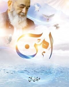 AMN By: Irfan ul Haq