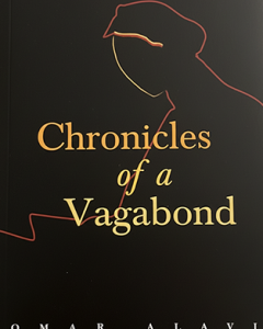 Chronicles Of a Vagabond