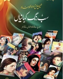 Sab Rang Kahaniyan Volume 8