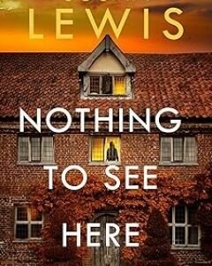 Nothing to See Here-Susan Lewis